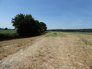 Near the River Severn in Arlingham.